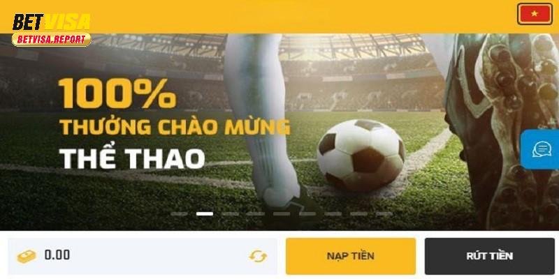 Giải đáp những vấn đề liên quan đến quá trình đăng ký Betvisa